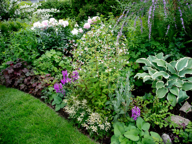 Midsommardags blomster i trädgården